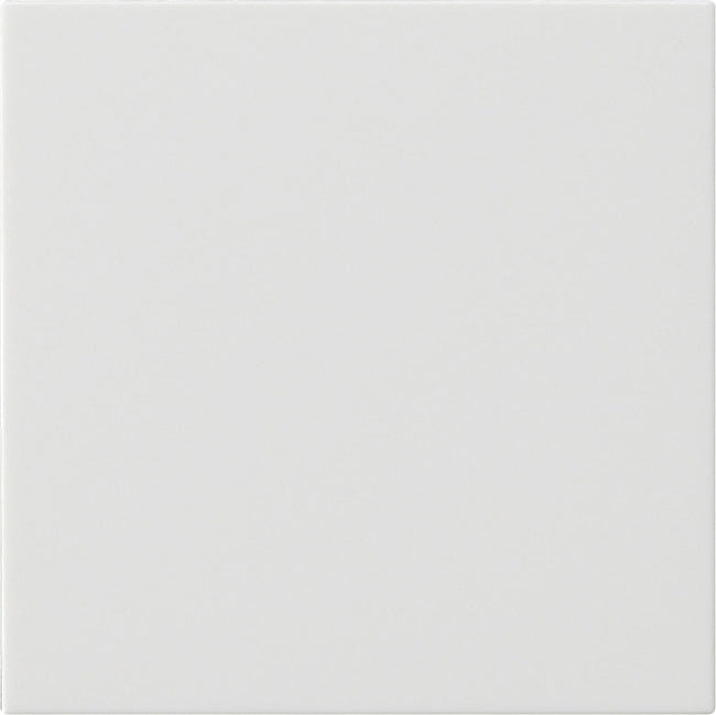 Single (1-Way) Rocker System for Hue