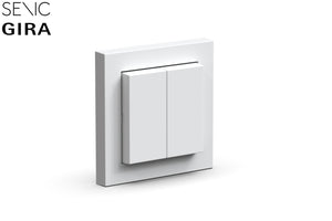 Friends of Hue Switch